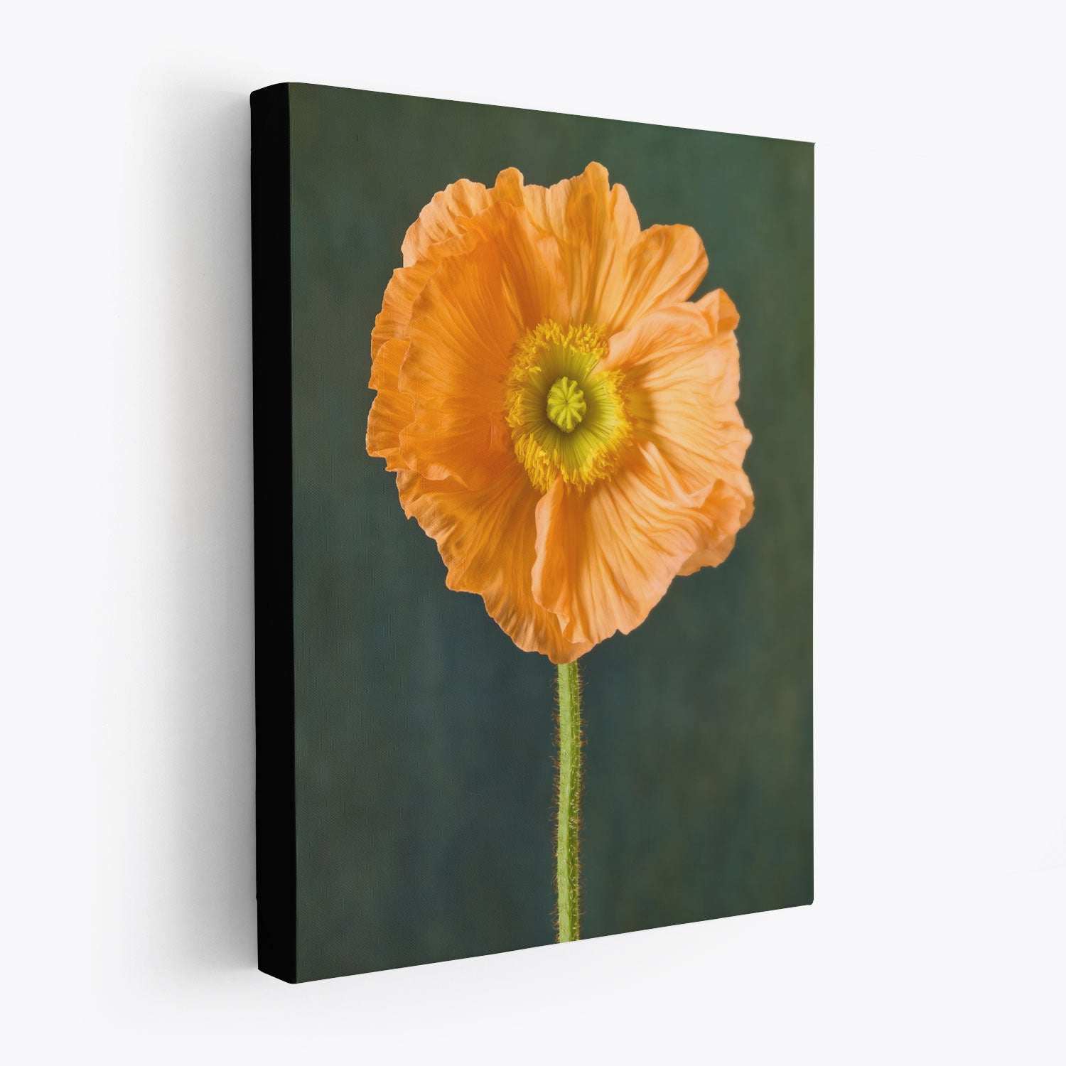 The Poppy Sister Portraits - 3 Piece canvas features a solitary orange poppy with delicate, crumpled petals and a prominent yellow center on a soft green background. The black edge of the canvas adds a touch of timeless romance to the artwork.