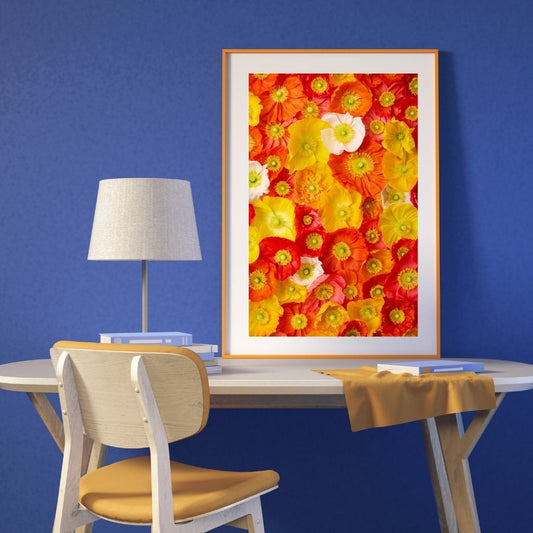 Glowing Fields Of Poppies