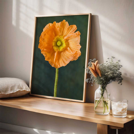 The Tuscan Poppy