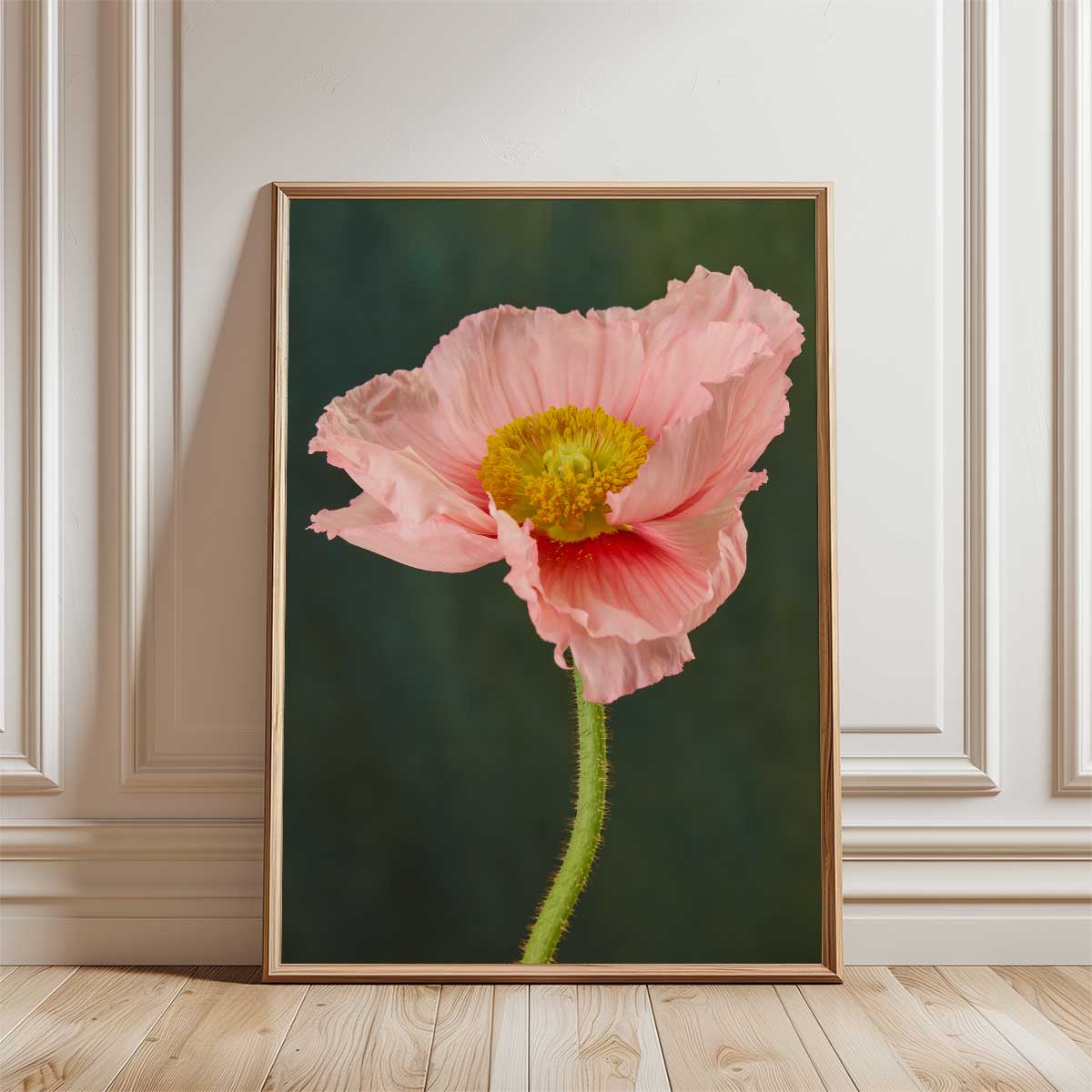 The Venetian Poppy