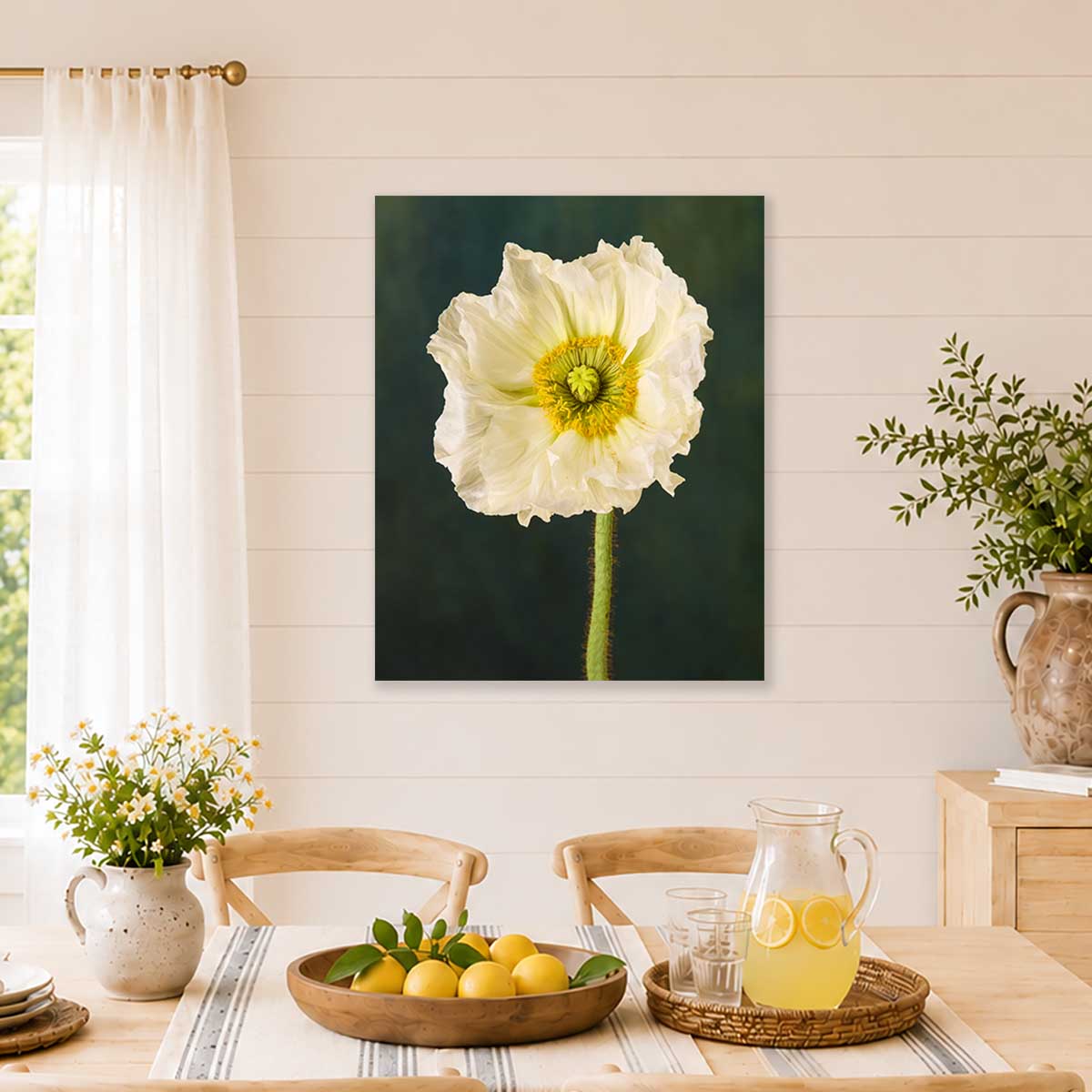 The Roman Poppy | Wall Art Canvas