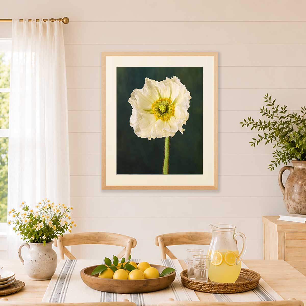 The Roman Poppy | Wall Art Print