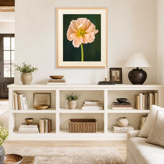 The Amalfi Poppy wall art print with a framed peach poppy flower on a dark green background