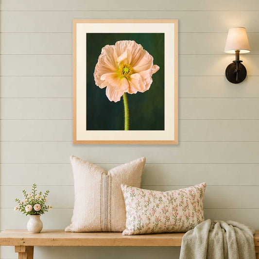 The Amalfi Poppy Wall Art Print with a framed pink poppy flower on a dark green background