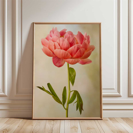 Coral Charm Peony Portrait 1
