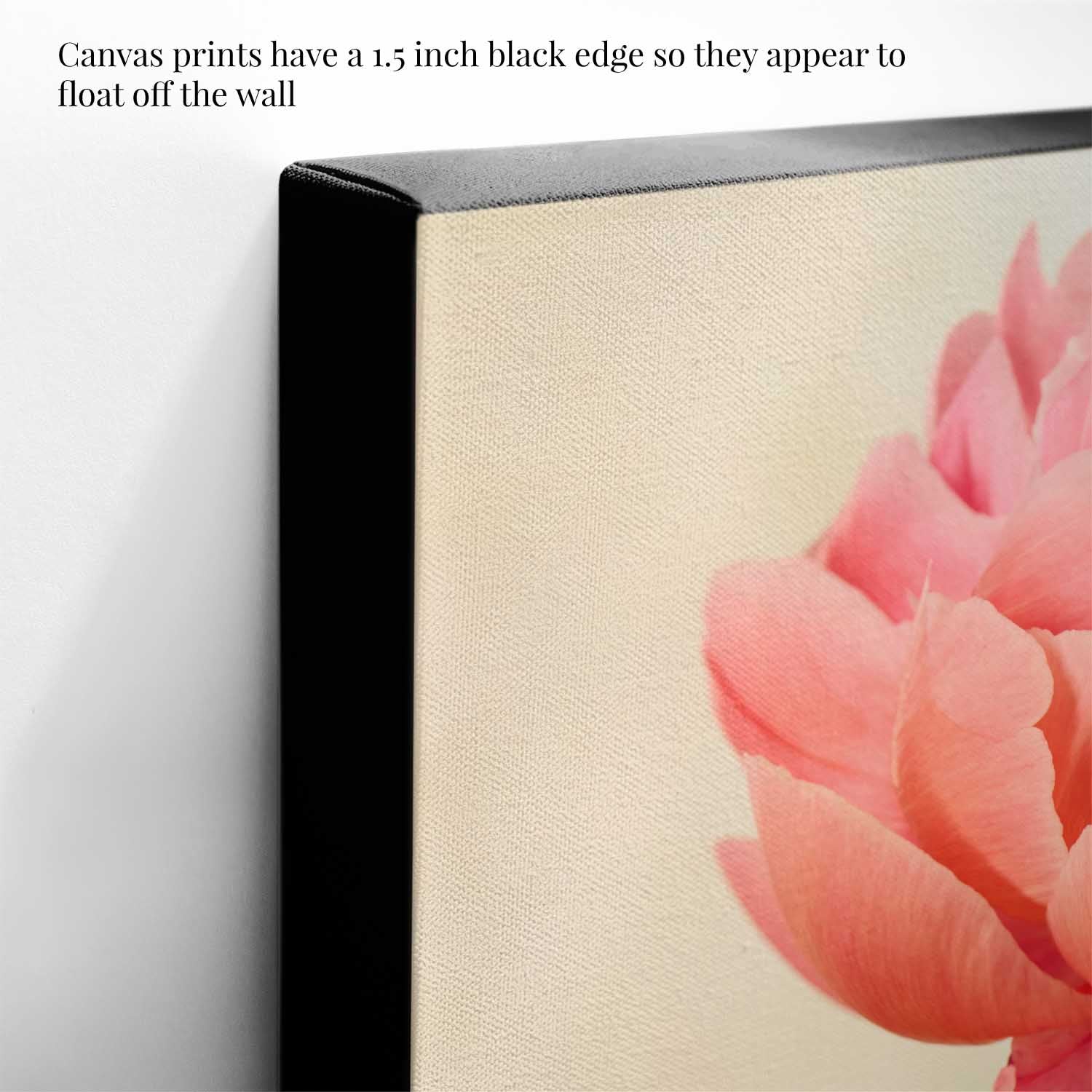 Coral Charm Peony Portrait 1
