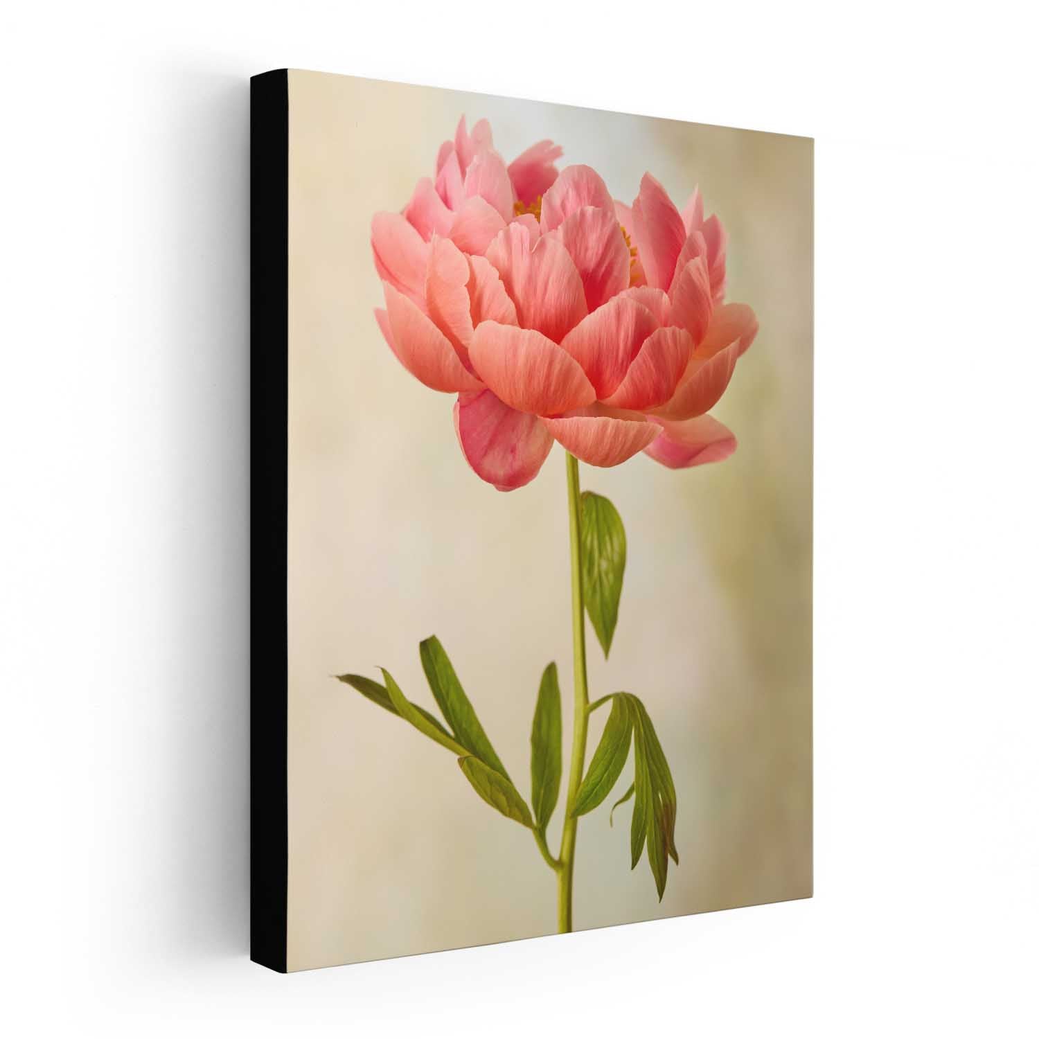 Coral Charm Peony Portrait 1