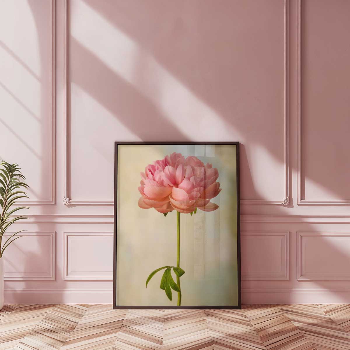 Coral Charm Peony Portrait 2