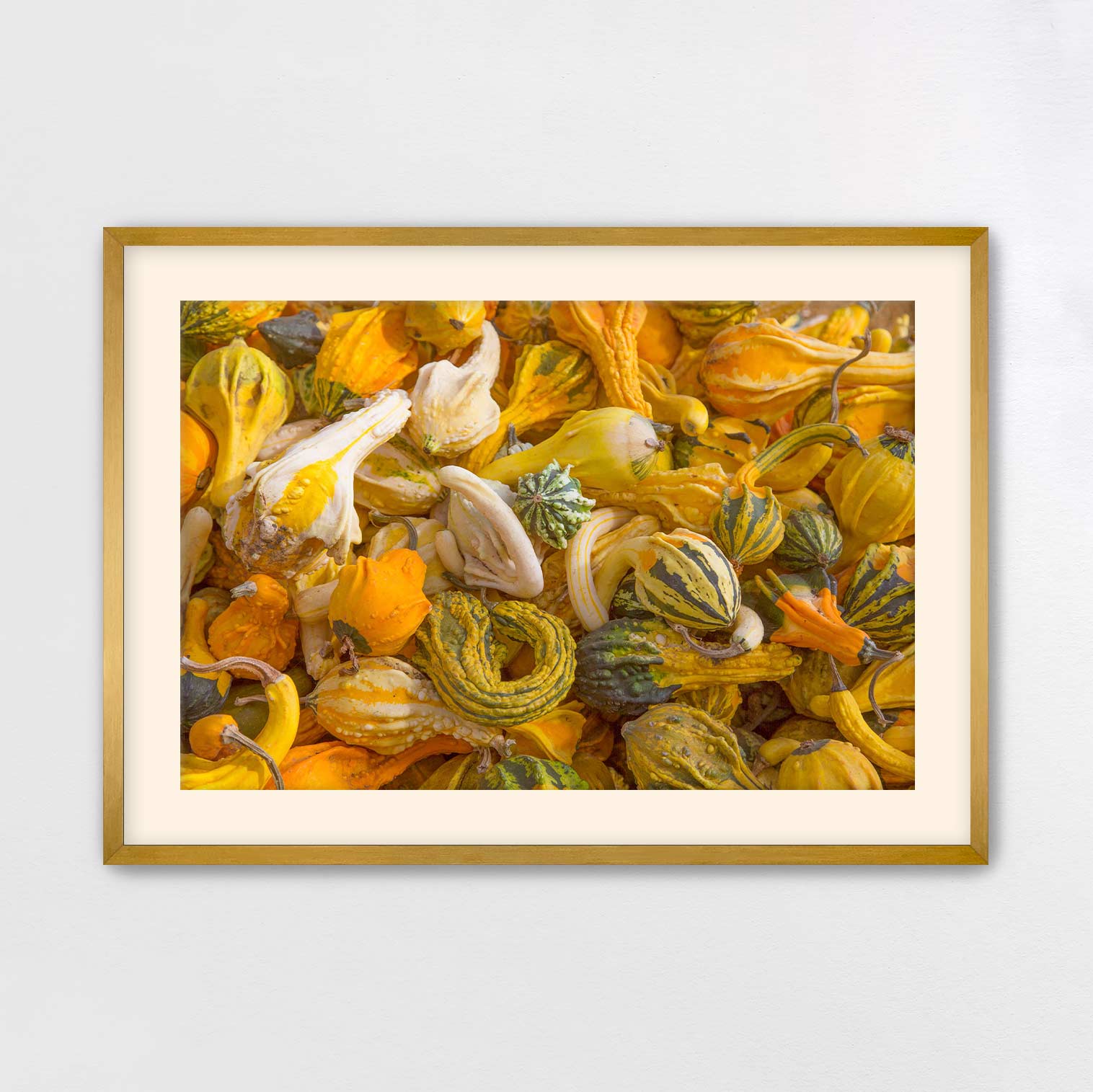 The image is a framed photograph of a variety of gourds and squash, with a mix of yellow, green, and orange colors.