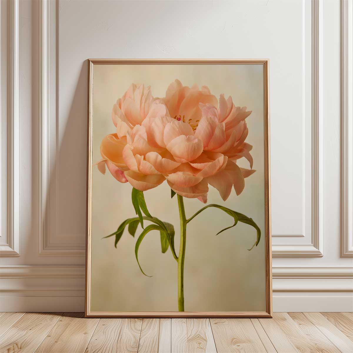 Coral Charm  Peony Portrait 3