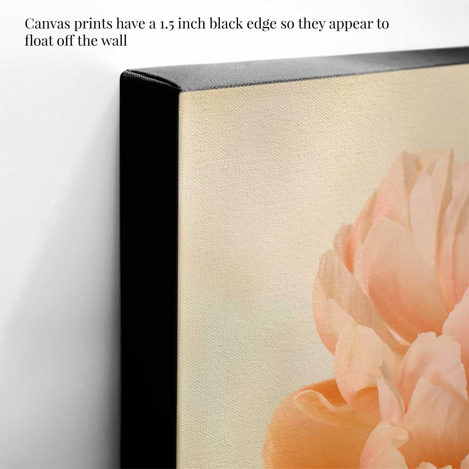 Coral Charm  Peony Portrait 3