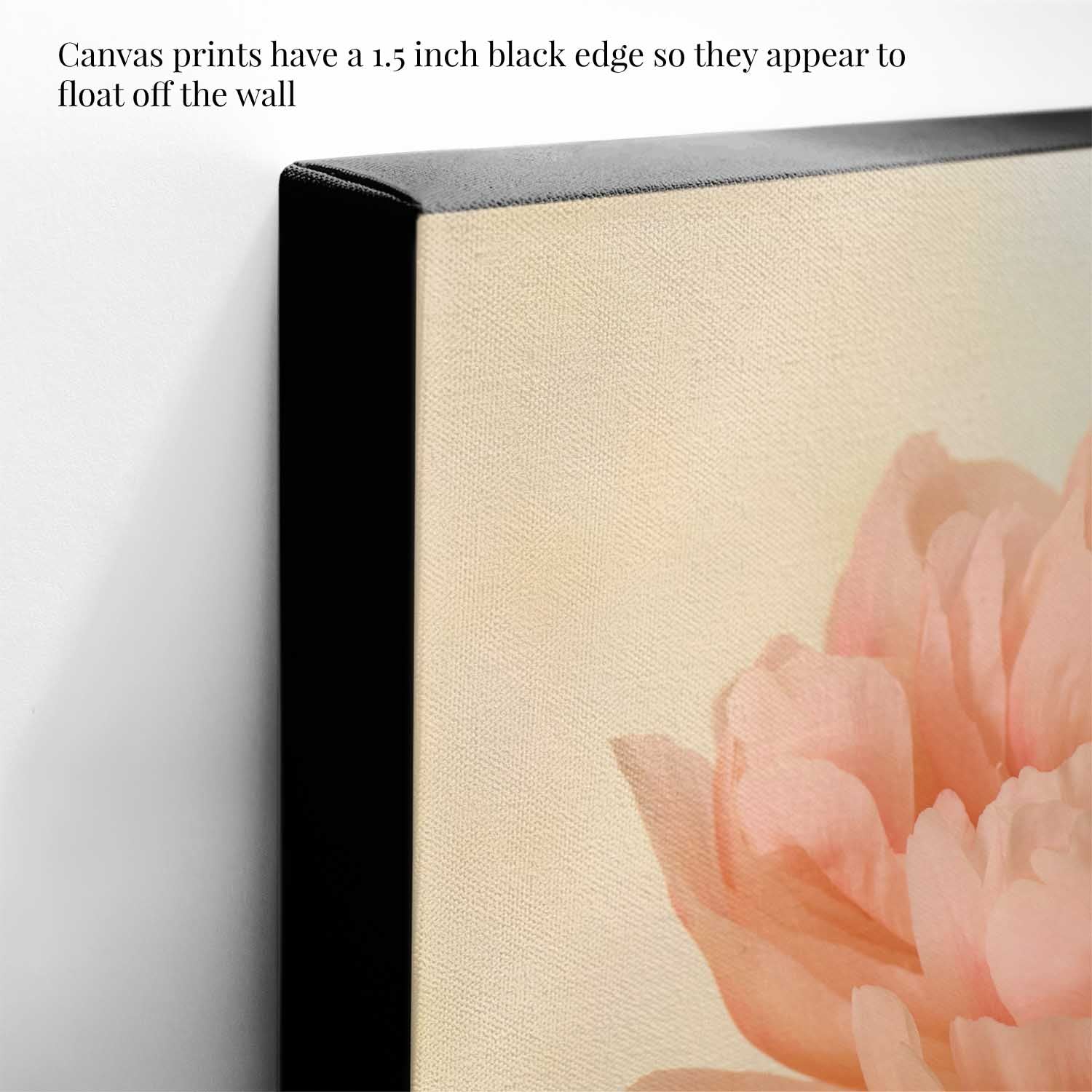 Coral Charm Peony Portrait 5