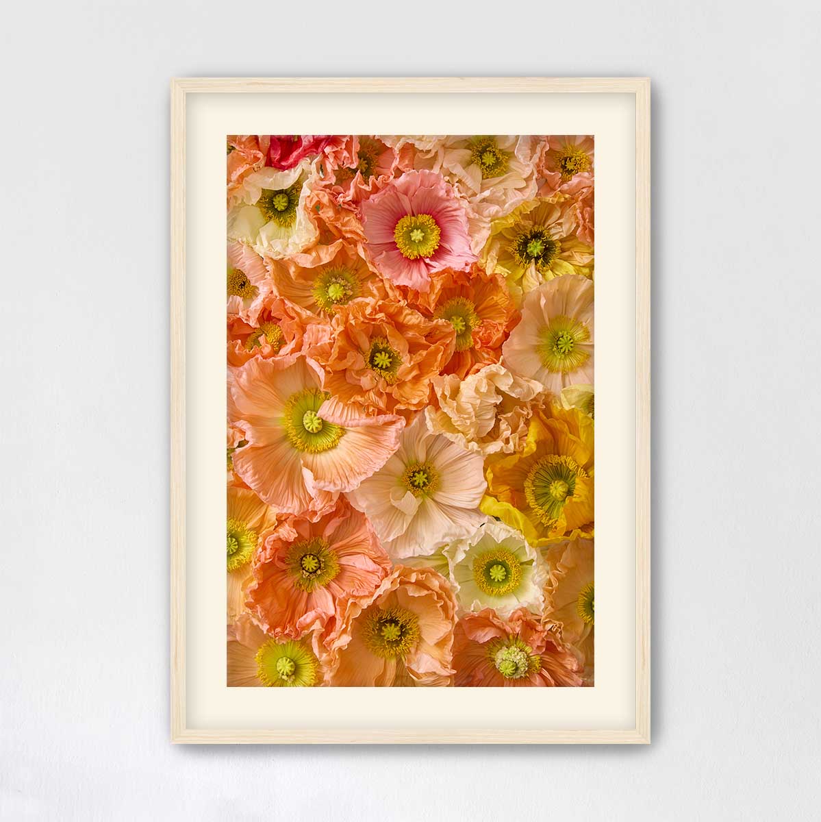 The image is a framed photograph of a vibrant and colorful arrangement of various flowers, including pink, orange, and yellow blooms.