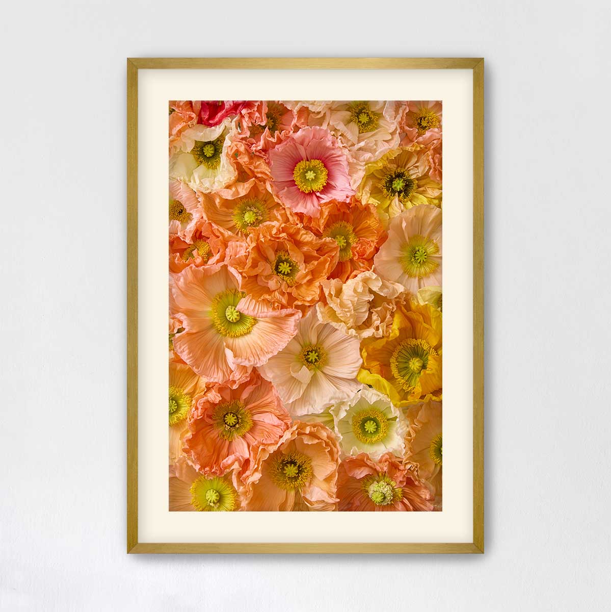 The image is a framed collage of various colorful flowers, including pink, orange, and yellow blooms, arranged in a visually appealing manner.