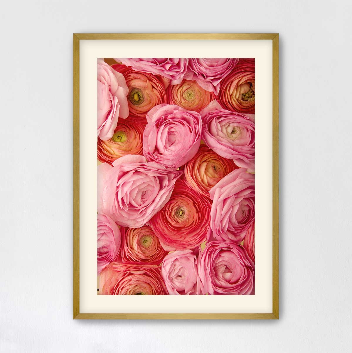 The image is a framed photograph of a close-up view of a vibrant arrangement of pink and orange flowers.