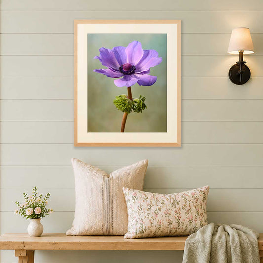 Her Highness | Anemone Wall Art Print