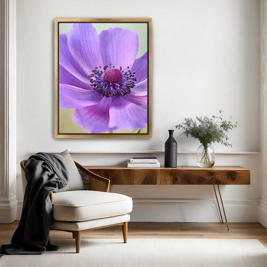 Purple Queen