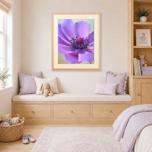 Purple Queen Anemone Wall Art Print with lavender anemone macro flower in a gold frame, wall art