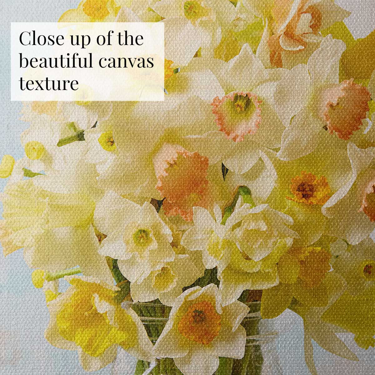 Daffodil Delight