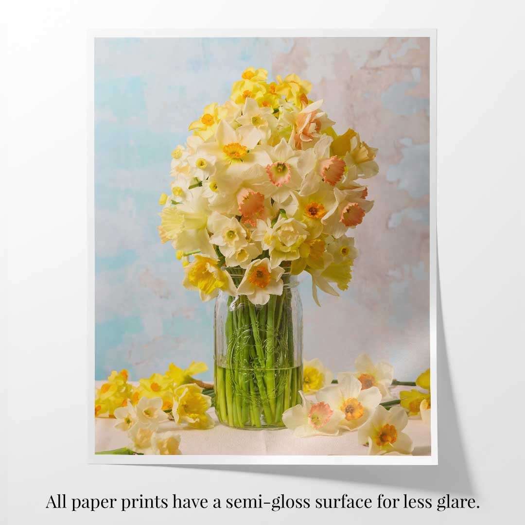 Daffodil Delight