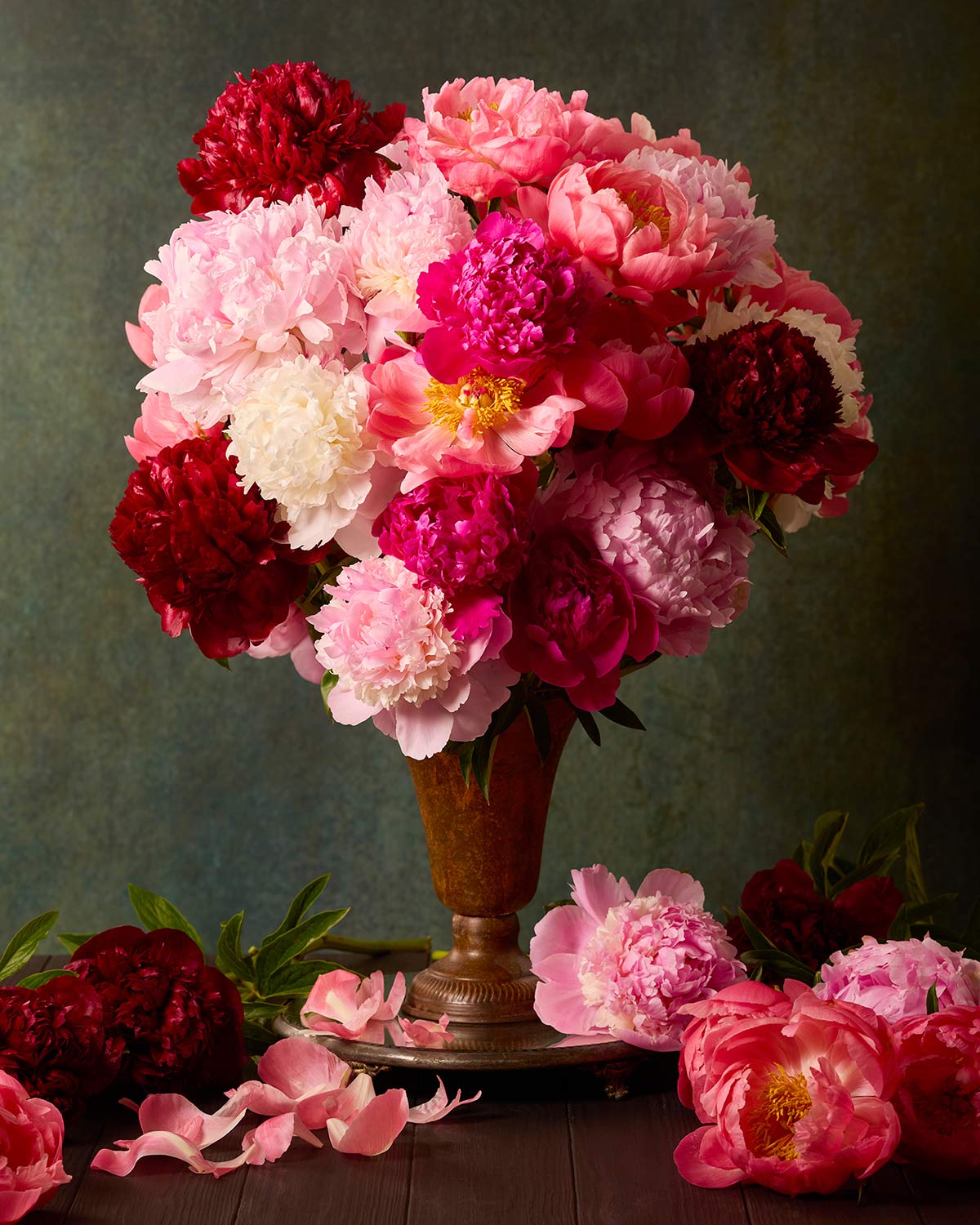 Passion In Bloom