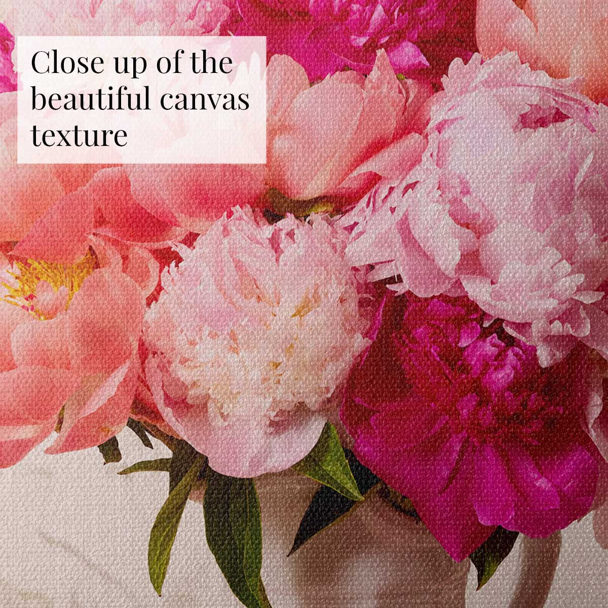 Blushing Hearts Peonies
