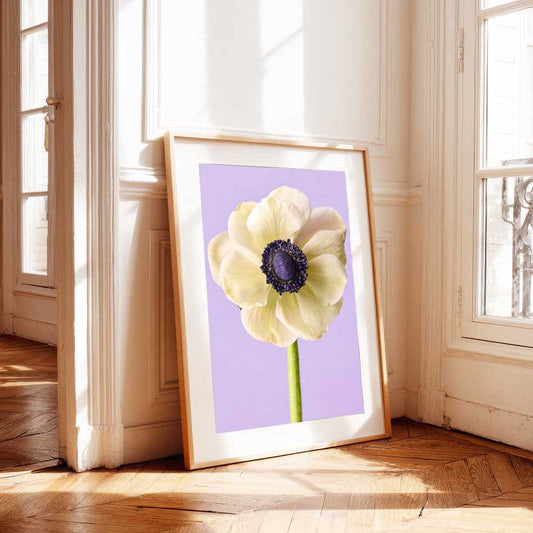 White Muse Anemone Wall Art Print in a gold frame, with a pale yellow anemone on lavender