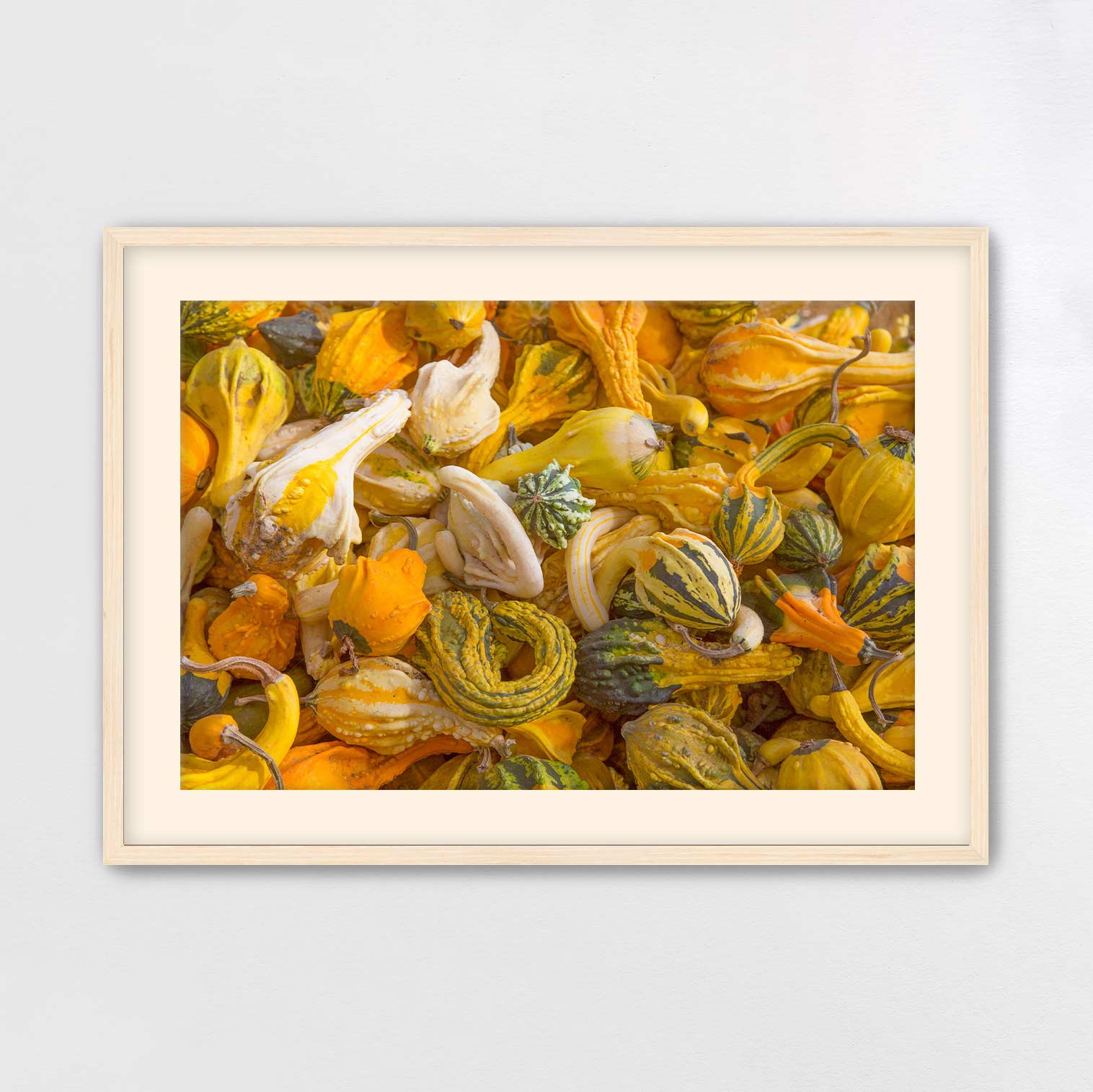 The image is a framed photograph of a variety of gourds and squash, with a mix of yellow, green, and orange colors.