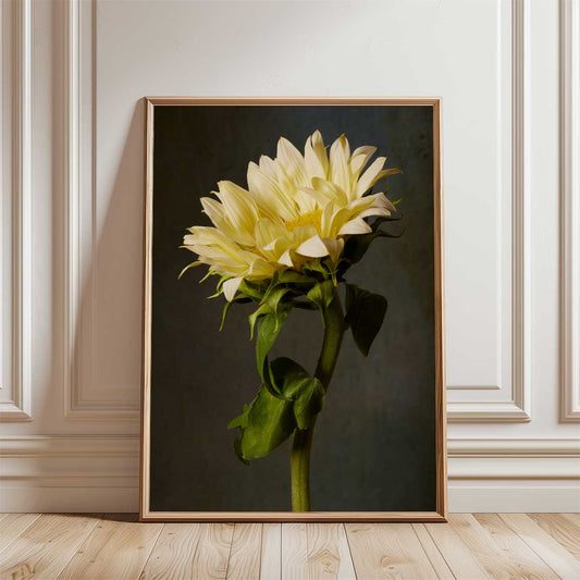 Golden Diva Sunflower