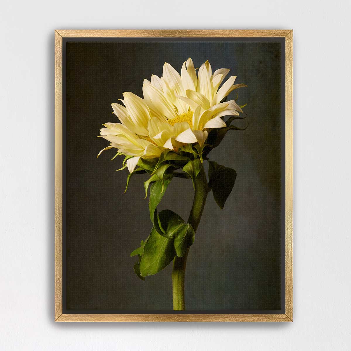 Golden Diva Sunflower