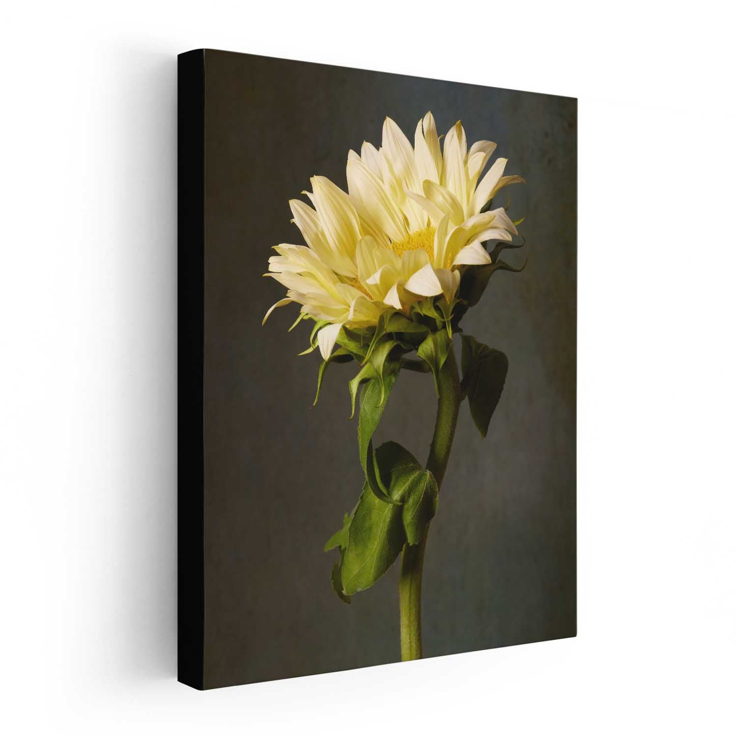 Golden Diva Sunflower