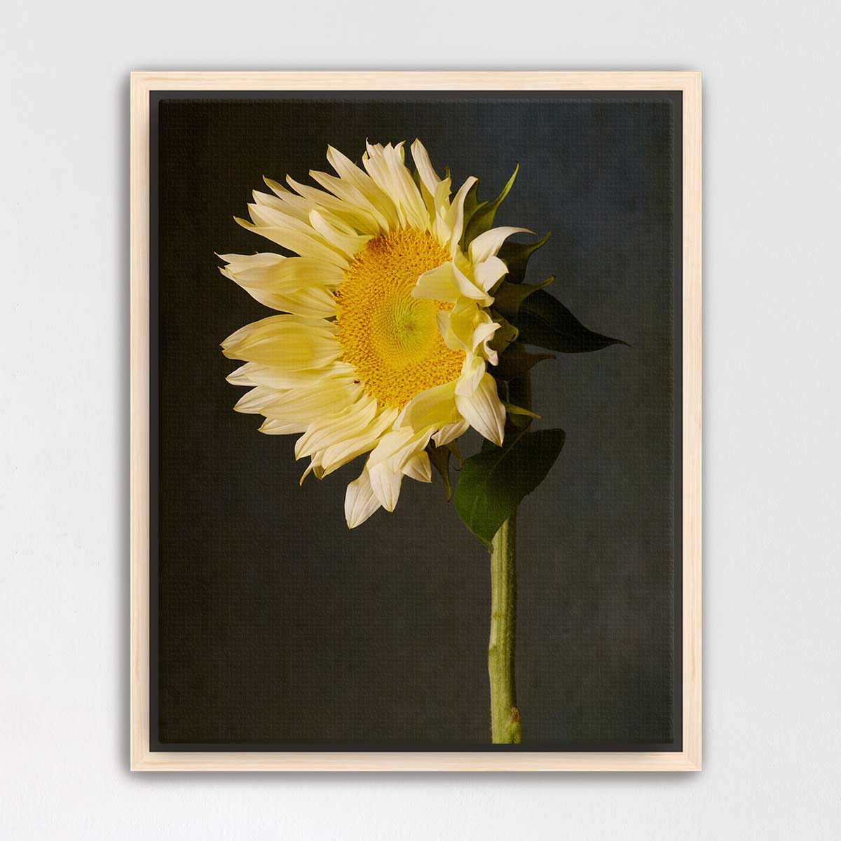 Sunny Attitude Sunflower