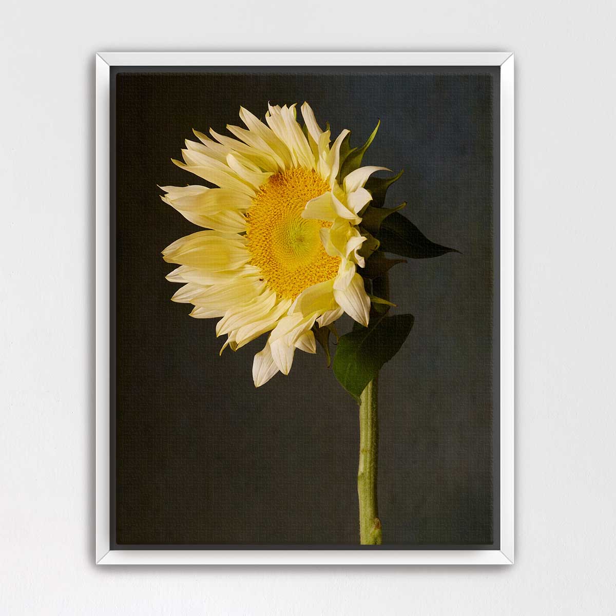 Sunny Attitude Sunflower