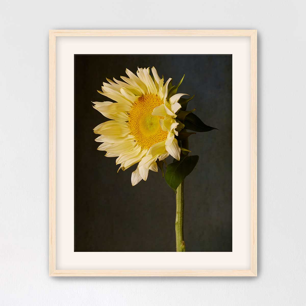 Sunny Attitude Sunflower