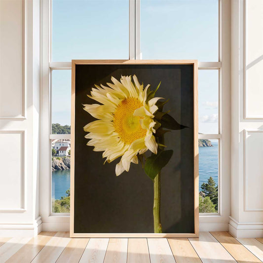 Sunny Attitude Sunflower