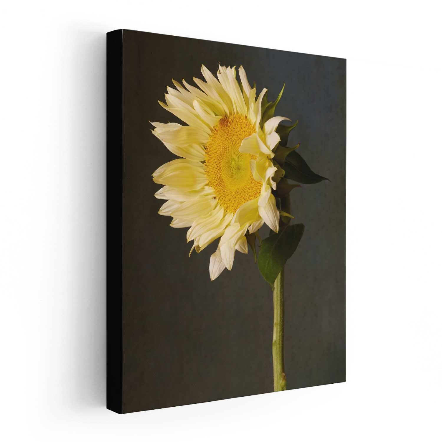Sunny Attitude Sunflower