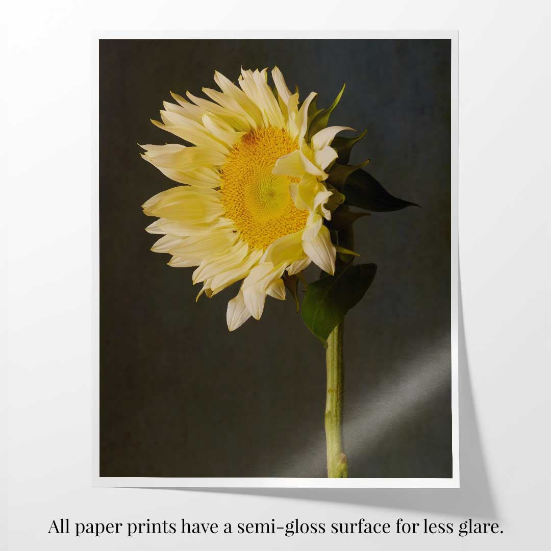 Sunny Attitude Sunflower