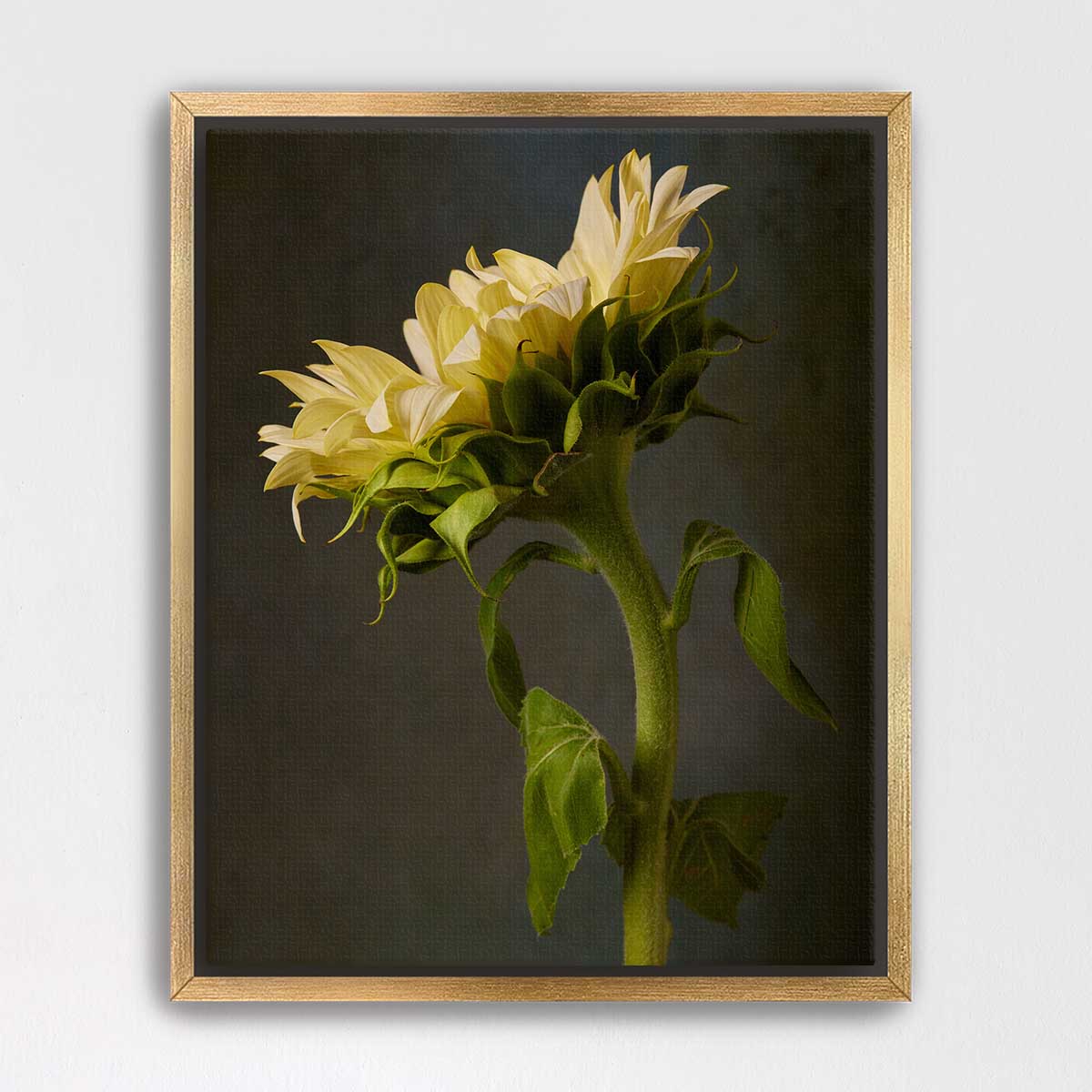 Sunny Sass Sunflower