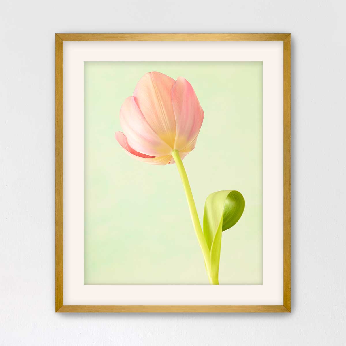 Petals Of Spring 1