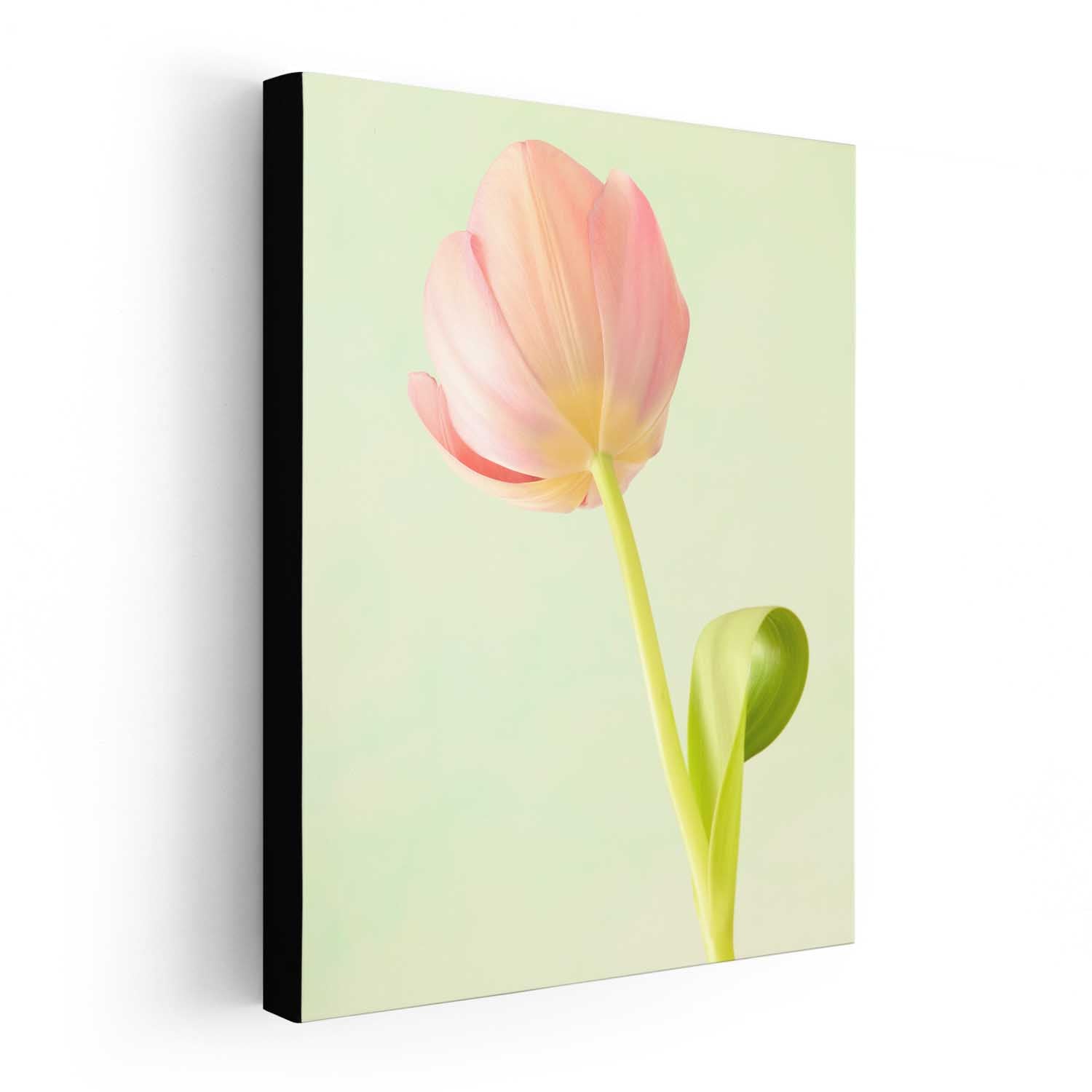 Petals Of Spring 1