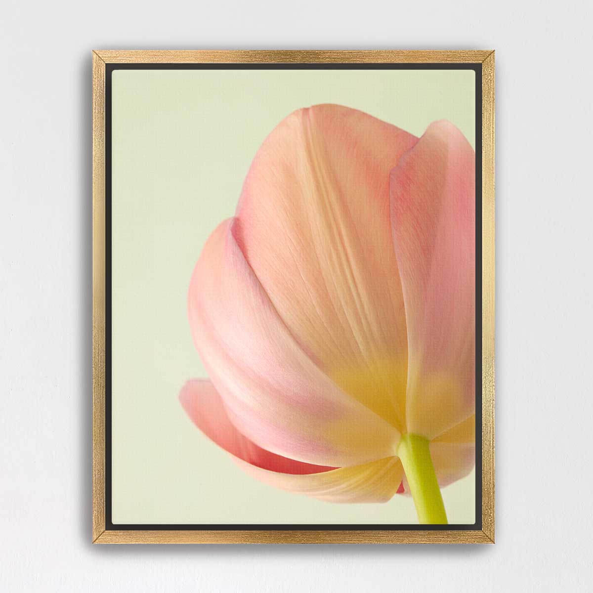 Petals Of Spring 2