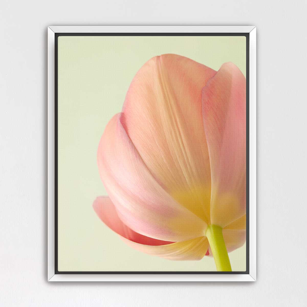 Petals Of Spring 2