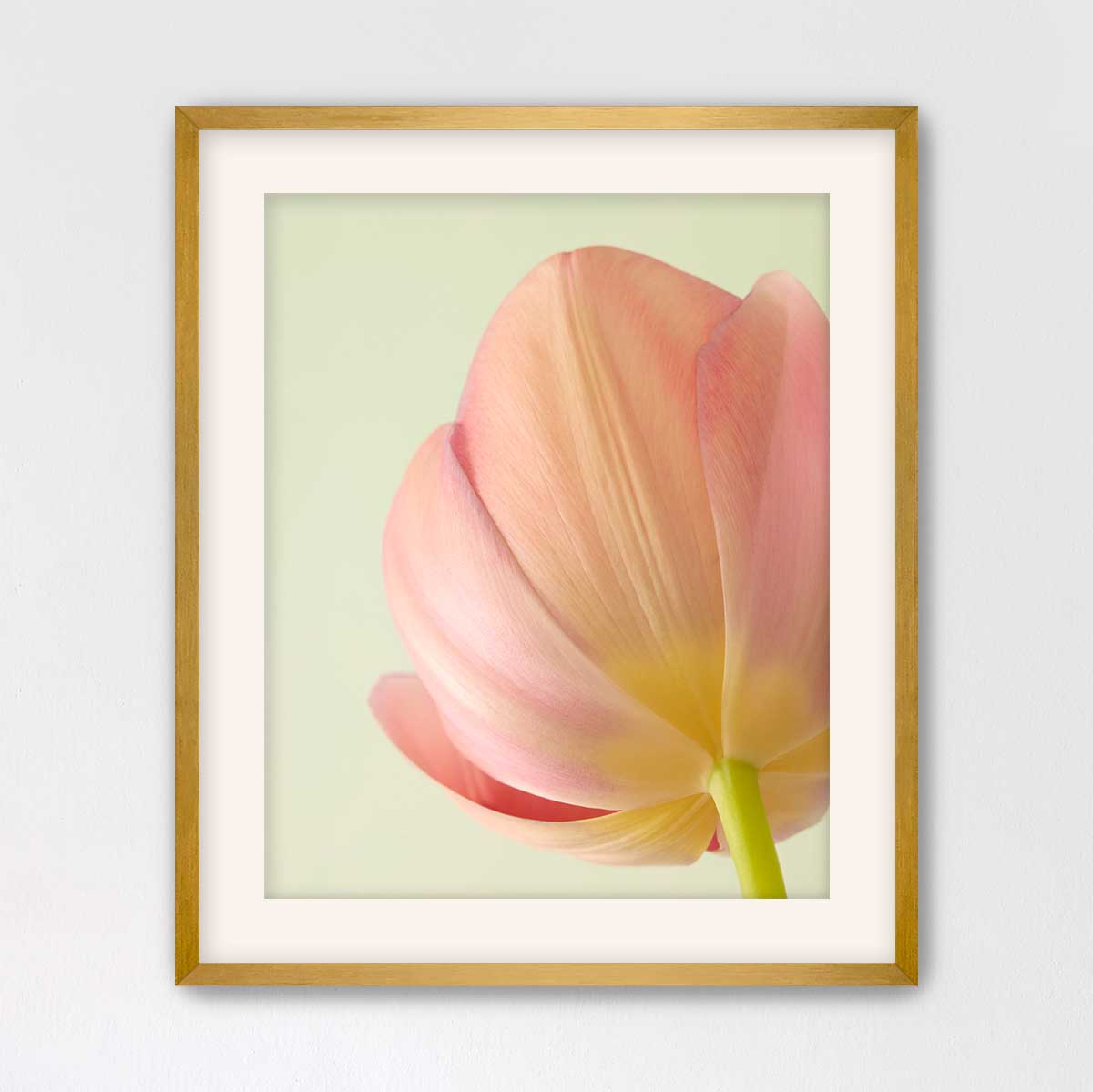 Petals Of Spring 2