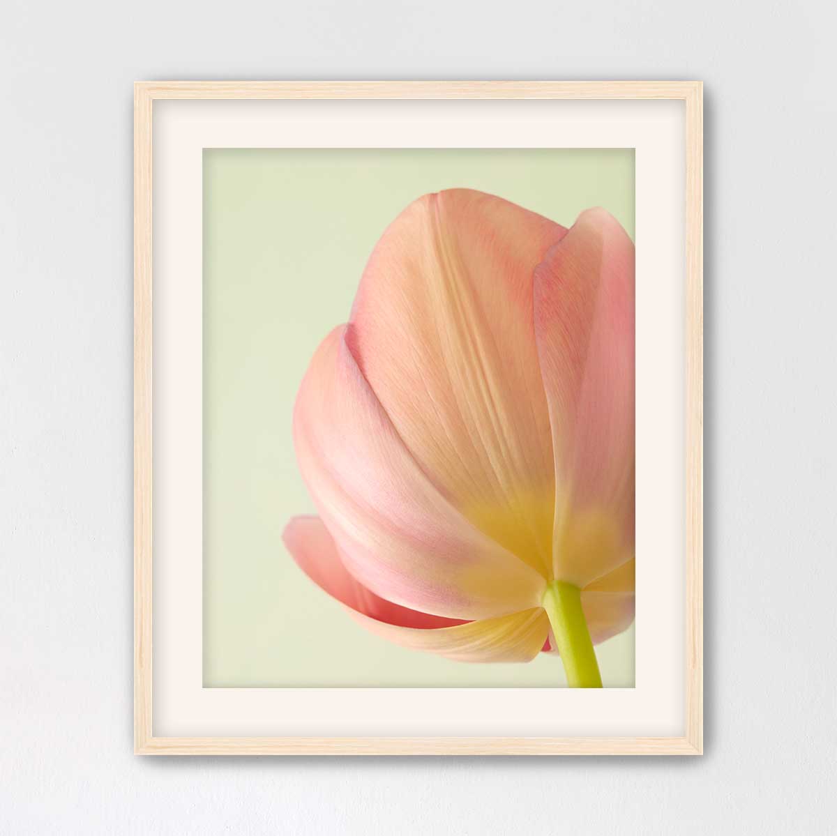 Petals Of Spring 2