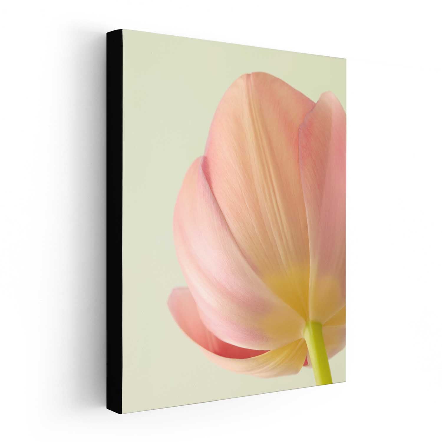 Petals Of Spring 2
