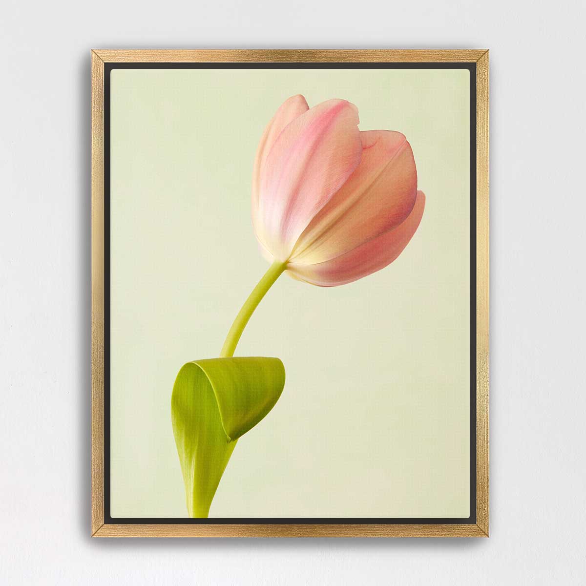 Petals Of Spring 3