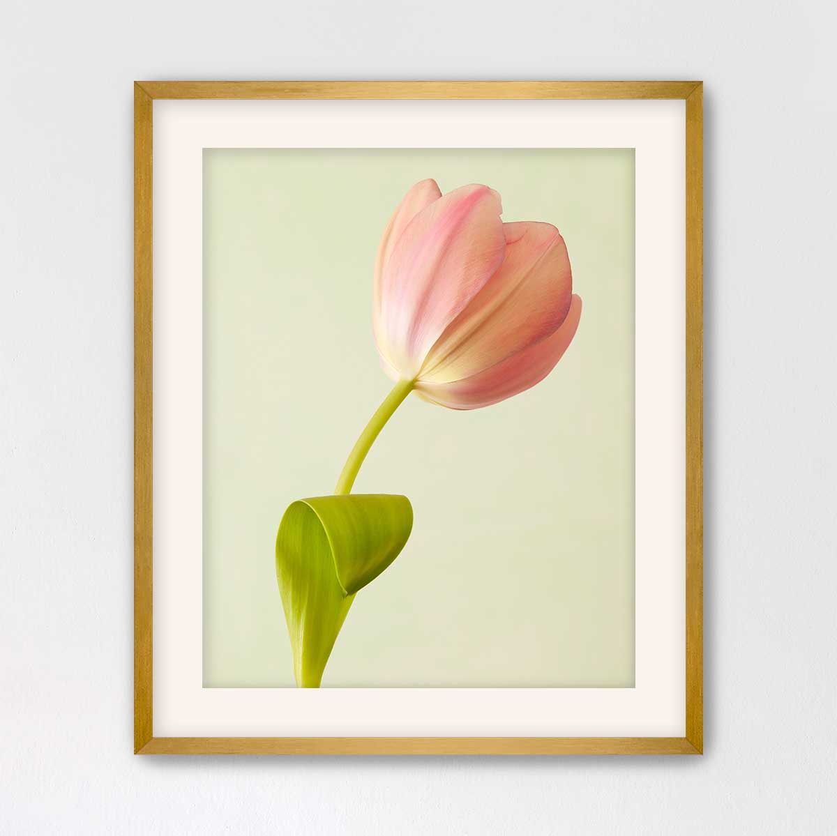 Petals Of Spring 3