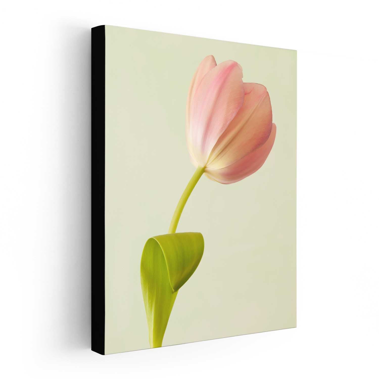 Petals Of Spring 3