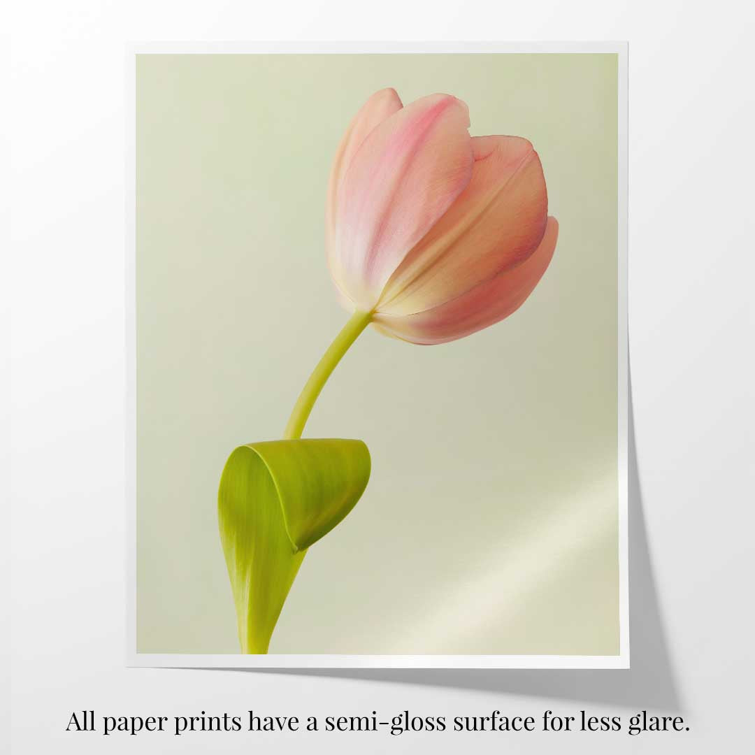 Petals Of Spring 3