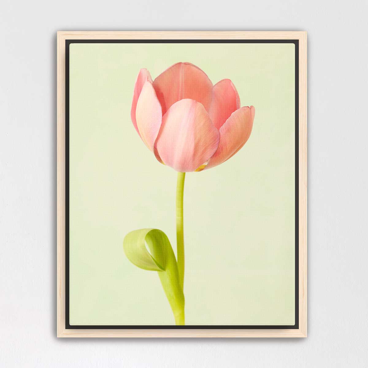 Petals Of Spring 4